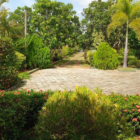Sunshine Holiday Resort -Sella Kataragama Zewnętrze zdjęcie