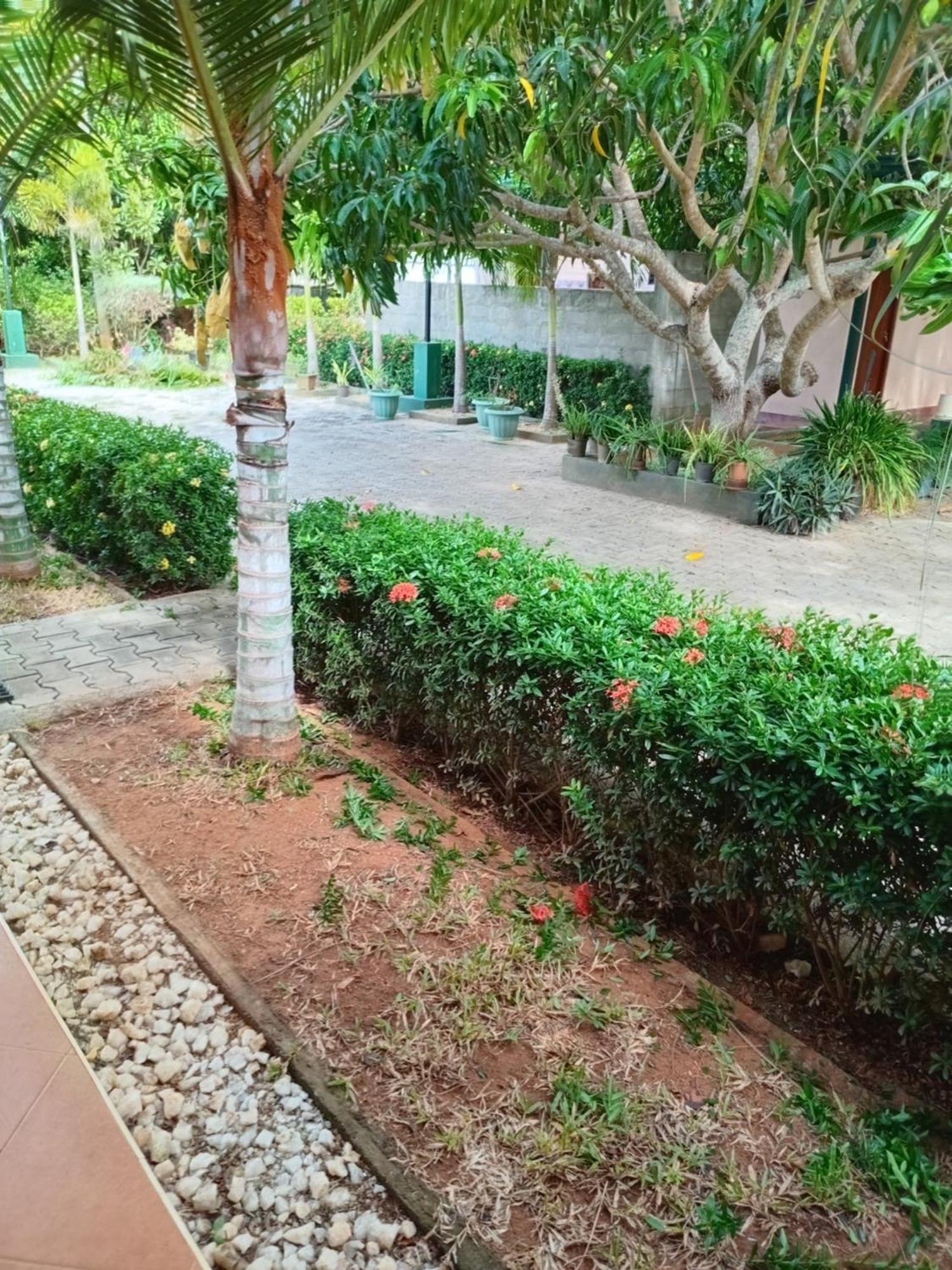 Sunshine Holiday Resort -Sella Kataragama Zewnętrze zdjęcie